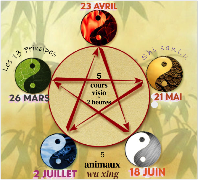 5 cours zoom à partir de mars 2025