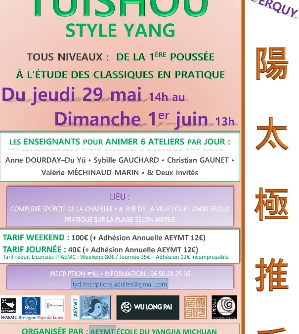 RENCONTRE DE TUISHOU STYLE YANG