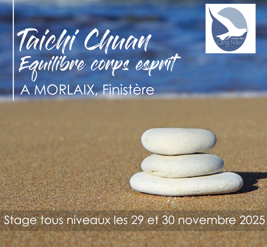 Stage de Taichi Chuan
